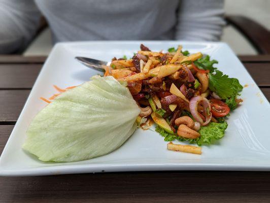 Crispy Duck Salad