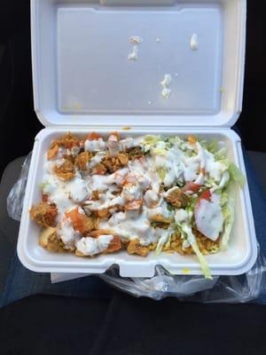 New York Gyro Halal Food Cart