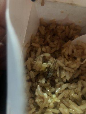 DO NOT ORDER! I ate a little of my fried rice only to find A BUG!.I WILL NEVER ORDER FROM here