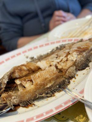 Deep Fried Giant Flounder Cutlet