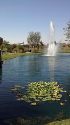 Pond in front of building