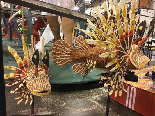 Lion Fishes