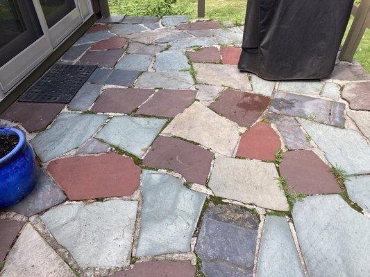 Old patio: I love slate but these were so slippery when wet, top layers had eroded on most, and it grew a lovely moss each year