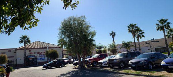 The line of cars all the way to the street