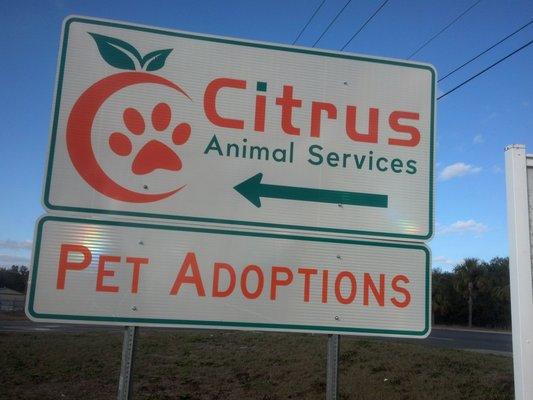 Citrus County Animal Shelter