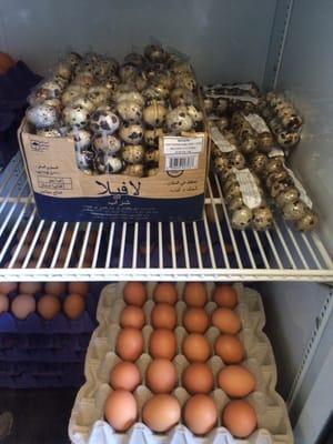 Kaadai (Quail)Eggs Available here