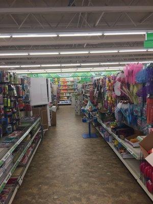 Dollar Tree of Acton -- 405 Nagog Park, Acton            Interior