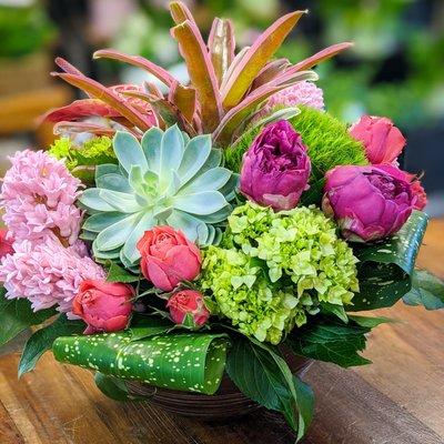 Add succulents to your arrangements at Wellington Florist.