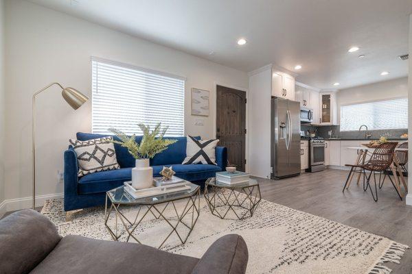 Open concept living room and kitchen