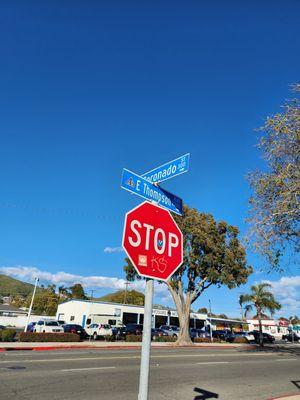 Thompson Smog Test Only