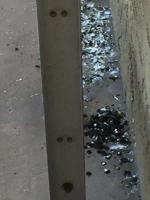 BIRD POOP.This is what I HAVE TO LOOK AT EVERYDAY I COME OUT OF MY UNIT.