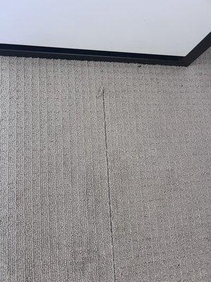 String that was completely loose in the carpet the entire width of room