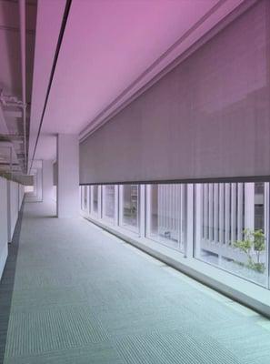 Monolithic motorized shade in a corporate environment.