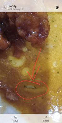 Maggots in rice? 
 BEWARE