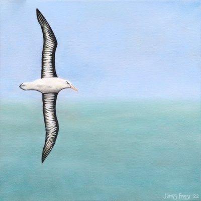 My painting of an albatross.