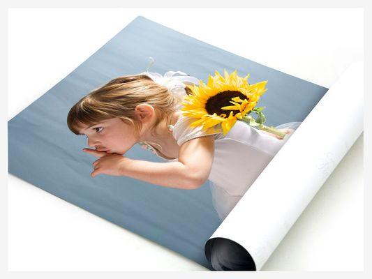 Large posters in vivid colors on all types of papers