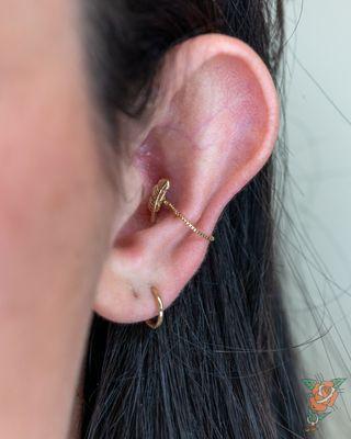 Healed conch piercing featuring 14 karat yellow gold feather and box chain