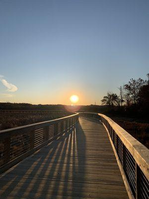 Westward view from boardwalk, near sunset