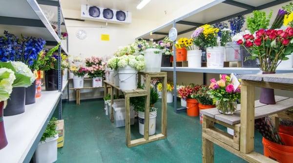 Our walk-in cooler is the newest addition to our shop, houses hundreds of arrangements on a weekly basis!