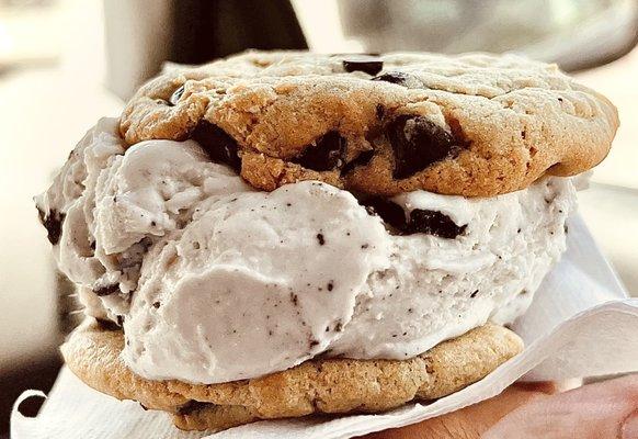 Cookies and Creme ice cream and chocolate chip cookie ice cream sandwich :D