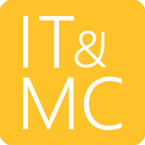 IT and Management Consulting