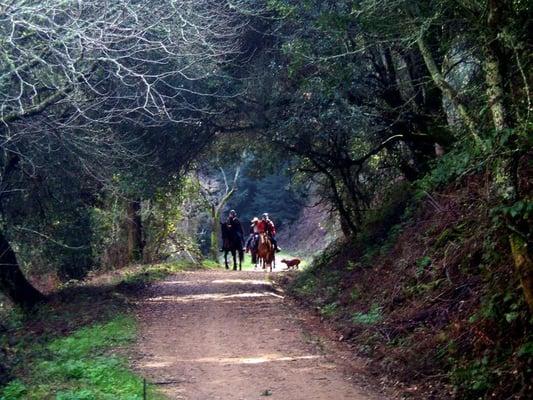 Anthony Chabot Equestrian Center