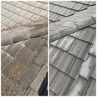 Before and after photos of a tile roof cleaning.