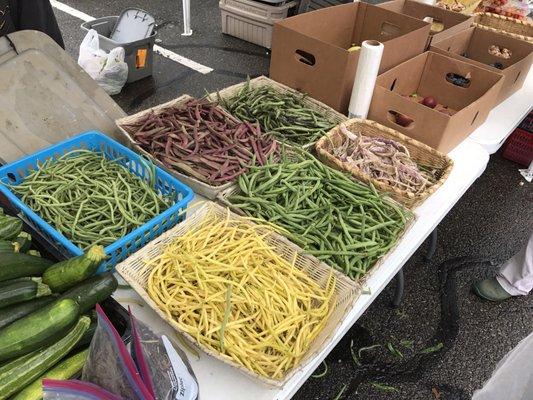 String beans.