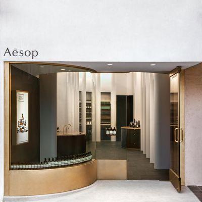 Aesop