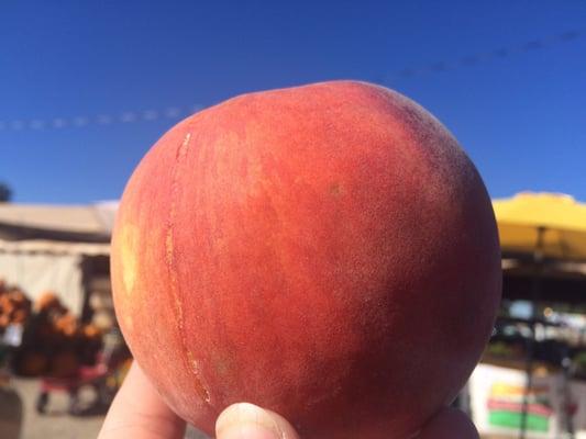 Giant, tasty peach.