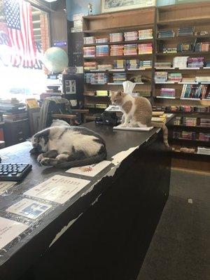 Babies and books