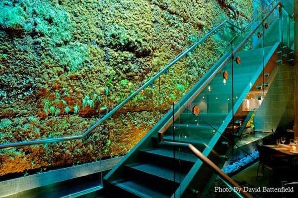 California Academy of Science formal dining downstairs at the Moss Room