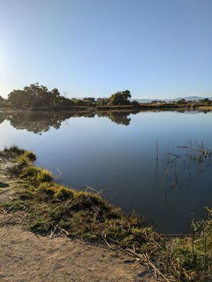 Mojave Narrows Regional Park