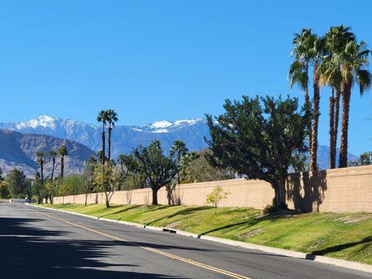 Road ride in Palm Desert.