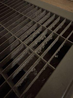 A/C vents included in cleaning, but completely ignored