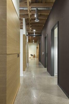 White oak dividers on left leads to operatory. Right brown felt wall made from recycled bottles for sound cushioning.