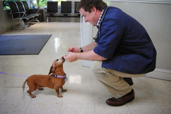 Nicholasville Road Animal Hospital