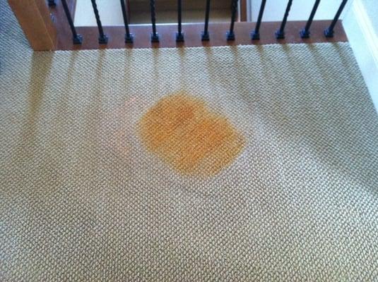 wicker plant basket stain BEFORE patch repair