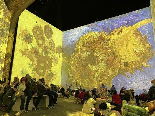 "Van Gogh, the Immersive Experience"  exhibit at the Strand     360 exhibit