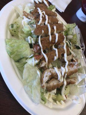 The chicken salad was soooo good!!! Crispy chicken, fresh greens and so refreshing for lunch on a hot day!