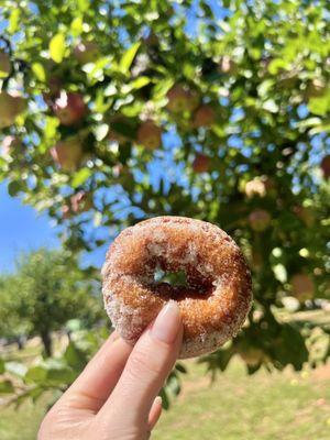 hot apple cider donut