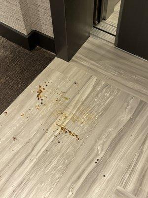 Vomit at elevators inside apartments hall