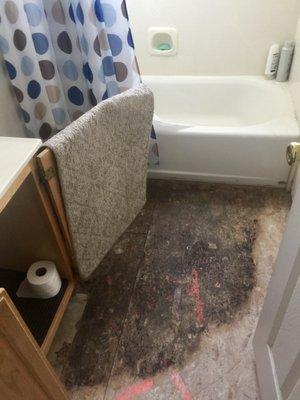 Mold growth on a customer's bathroom subfloor from water damage