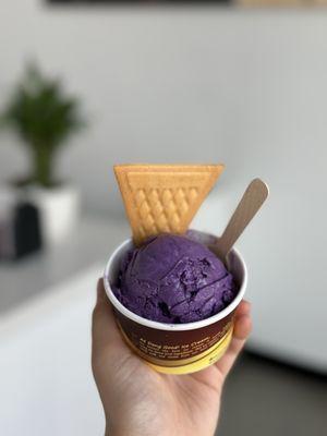 Ube Ice Cream