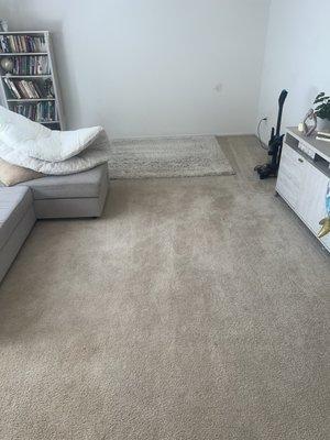 Living room carpet after cleaning