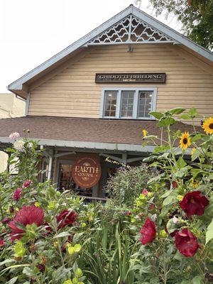 Full bloom summer flower garden at the shop!