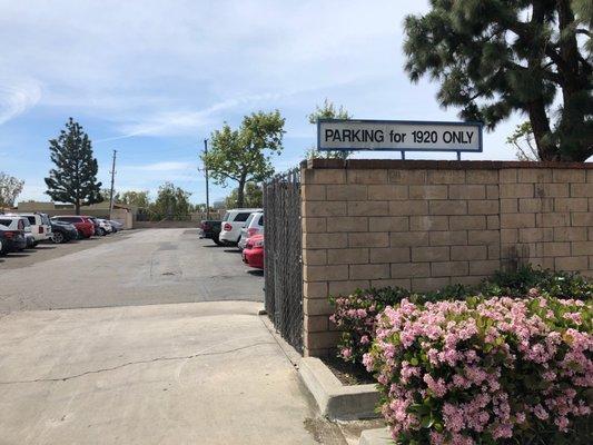 Parking - behind the building