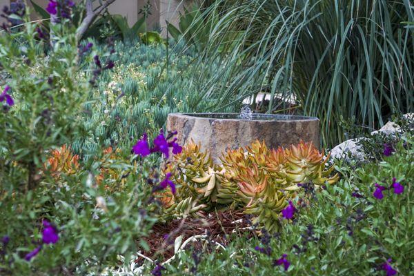 Water feature and drought tolerant planting