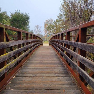 Bridge to and fro the T.O. Library