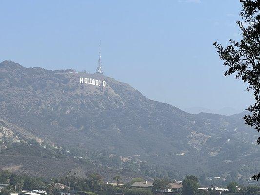 The view of the Hollywood sign from our van !